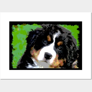 Bernese Mountain Dog Face Posters and Art